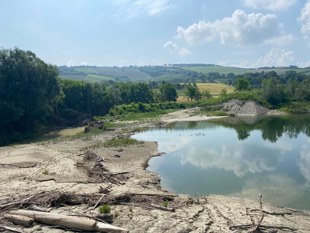 Alluvione Emilia-Romagna maggio 2023: attività di studio e analisi sui fiumi dei bacini Reno, Romagnoli e Conca-Marecchia per l’aggiornamento dei PAI e del PGRA