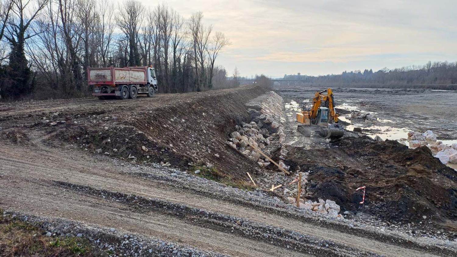 Analisi di fattibilità degli interventi di mitigazione del rischio da alluvione, recupero morfologico e gestione attiva delle piene del torrente Enza (Province di Parma e Reggio Emilia)